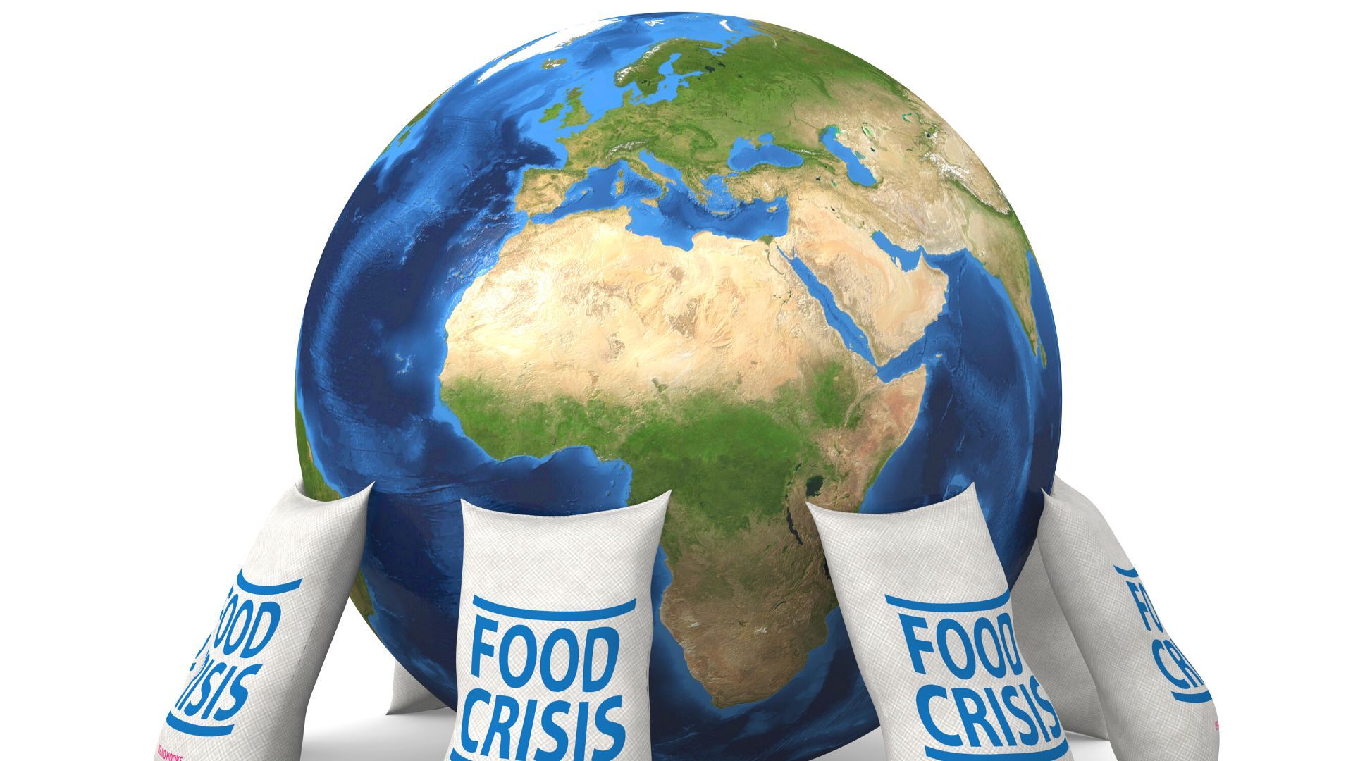 A New Framework to Approach Food Affordability Index Spatial Based with Greater Precision: Spatial Food Affordability Index (SFAI)